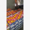 Our Products Gallery