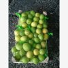 Our Products Gallery